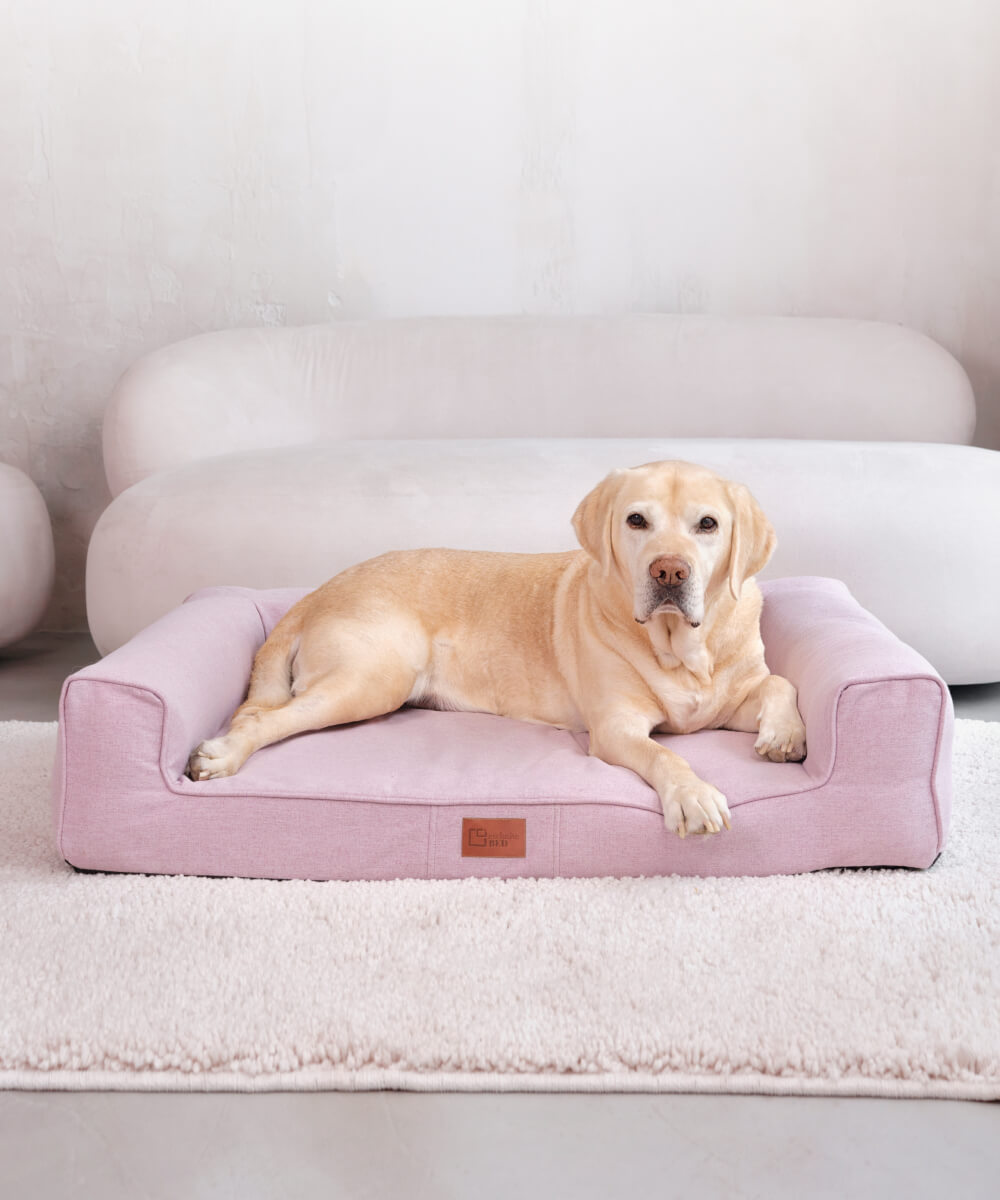 Exclusive bed